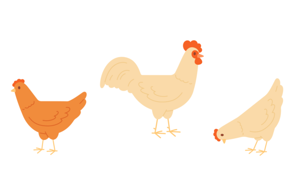 Farm Poultry Graphics: Chicken & Rooster Illustrations