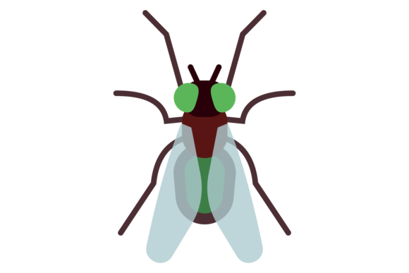 Fly Color Icon Graphics: Pest Symbol Illustrations