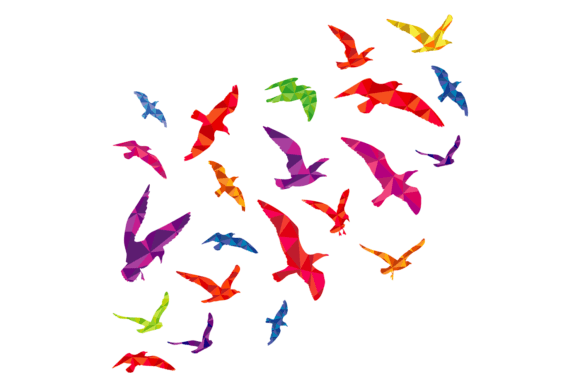 Flying Bird Flock Silhouettes with Color Graphics