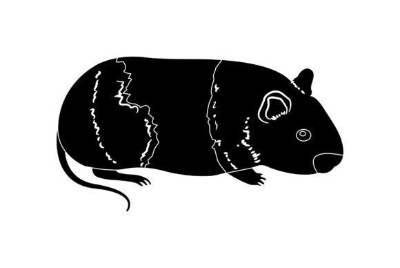 Hamster Vector Design Solid Color: Graphics & Illustrations