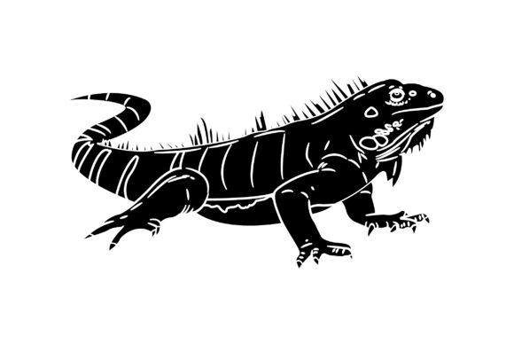 Iguanas Vector Design Solid Color: Graphics & Illustrations