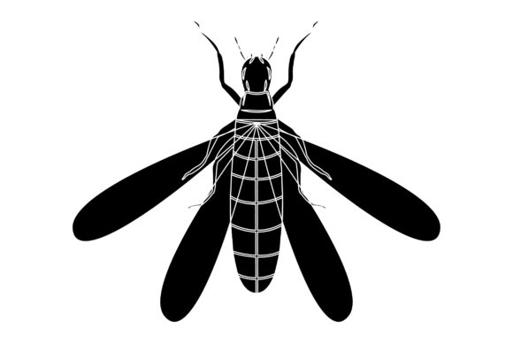 Moth Vector Design Solid Color: Graphics & Illustrations