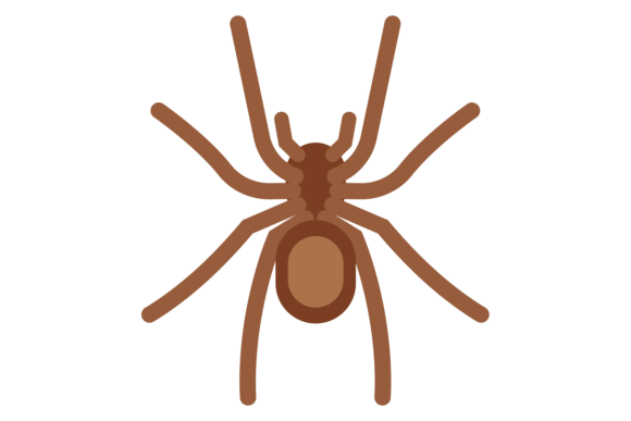 Spider Color Icon: Wild Insect Illustration Graphics