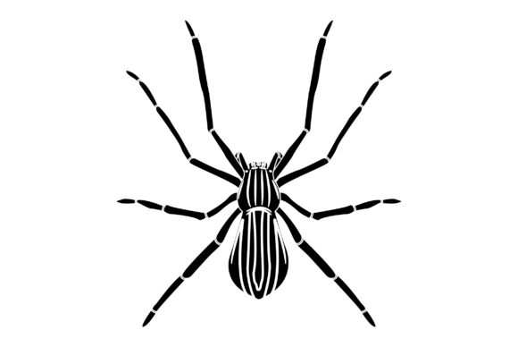 Spider Vector Design Solid Color Graphics & Illustrations
